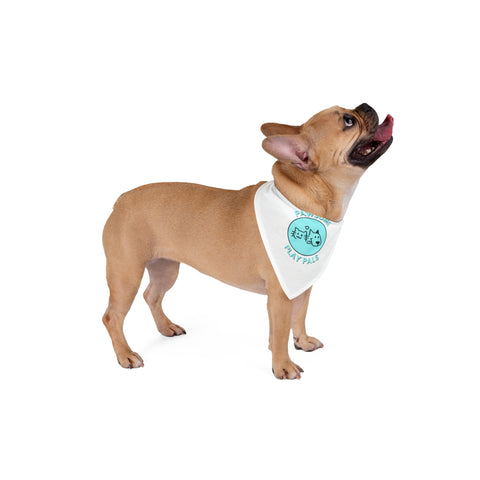 Pawsome Play Pals Pet Bandana