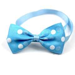 Polka Dot Bow Webbing Pet Accessories
