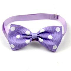 Polka Dot Bow Webbing Pet Accessories