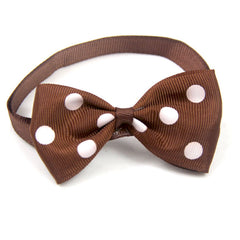 Polka Dot Bow Webbing Pet Accessories