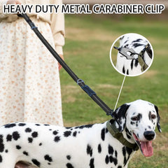 Reflective Shock Absorbing Bungee Dog Leash Car Seatbelt Heavy Duty No Pull