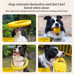 Dog Toy Set Frisbee Ball Tug Rope Interactive Chew Toys Bundle