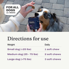 Probiotic Chews for Dogs Digestive Gut Health Beef Flavor Supplement Daily