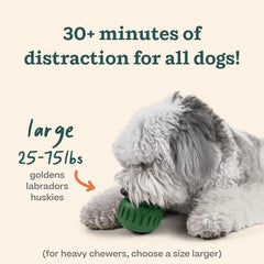 Interactive Dog Treat Toy Silicone Frozen Enrichment Chew Resistant Feeder Puzzle