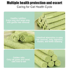 Cat Grass Teeth Grinding Sticks Hairball Control Digestive Cat Treats Daily