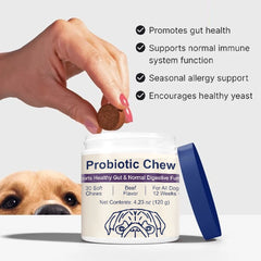 Probiotic Chews for Dogs Digestive Gut Health Beef Flavor Supplement Daily