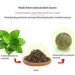 Natural Catnip Wall Stick On Ball Treat for Healthy Pet Cats