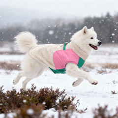 The dog lambskin material autumn and winter jacket is warm and comfortable