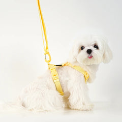 Adjustable Macaron Dog Harness Collar Leash Set Reflective Small Pet Walking