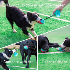 Interactive Dog Tug Toy Mental Stimulation Puppy Teething Chew Play Rope