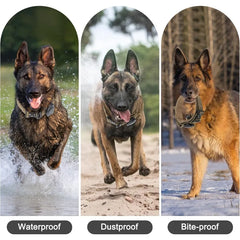 Waterproof Tactical Dog Collar Handle Zinc Buckle AirTag Compatible Medium Large