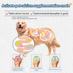 Freeze Dried Cheese Pet Treats High Calcium Digestive Support Daily Snacks