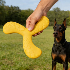 Dog Boomerang Flying Disc Tough Chew Water Fetch Toy Durable