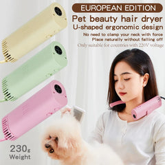 High Power Pet Hair Dryer Silent Quick Dry Grooming Blower 220V