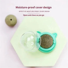 Natural Catnip Wall Stick On Ball Treat for Healthy Pet Cats