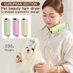 High Power Pet Hair Dryer Silent Quick Dry Grooming Blower 220V
