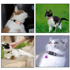 2pcs Reflective Cat Dog Collar Anti Lost Safety Adjustable Night Collar Set