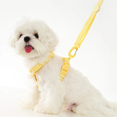 Adjustable Macaron Dog Harness Collar Leash Set Reflective Small Pet Walking
