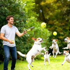 Dog Ball Launcher Toy Tennis Throwing Gun Interactive Outdoor Training Play