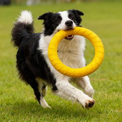 Dog Toy Set Frisbee Ball Tug Rope Interactive Chew Toys Bundle