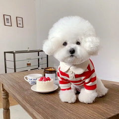 Summer Dog Polo Shirt Striped Cooling Vest Puppy Small Medium Clothes
