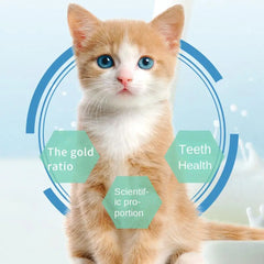 Cat Grass Teeth Grinding Sticks Hairball Control Digestive Cat Treats Daily