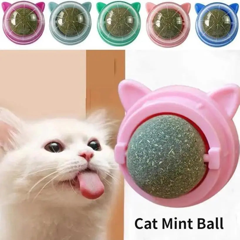 Natural Catnip Wall Stick On Ball Treat for Healthy Pet Cats