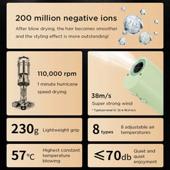 High Power Pet Hair Dryer Silent Quick Dry Grooming Blower 220V