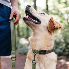 5ft Nylon Dog Leash Strong Leather Handle Durable Walking Pet Lead