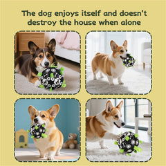 Dog Bell Sound Football Toy Interactive Outdoor Training Squeaky Pet Ball