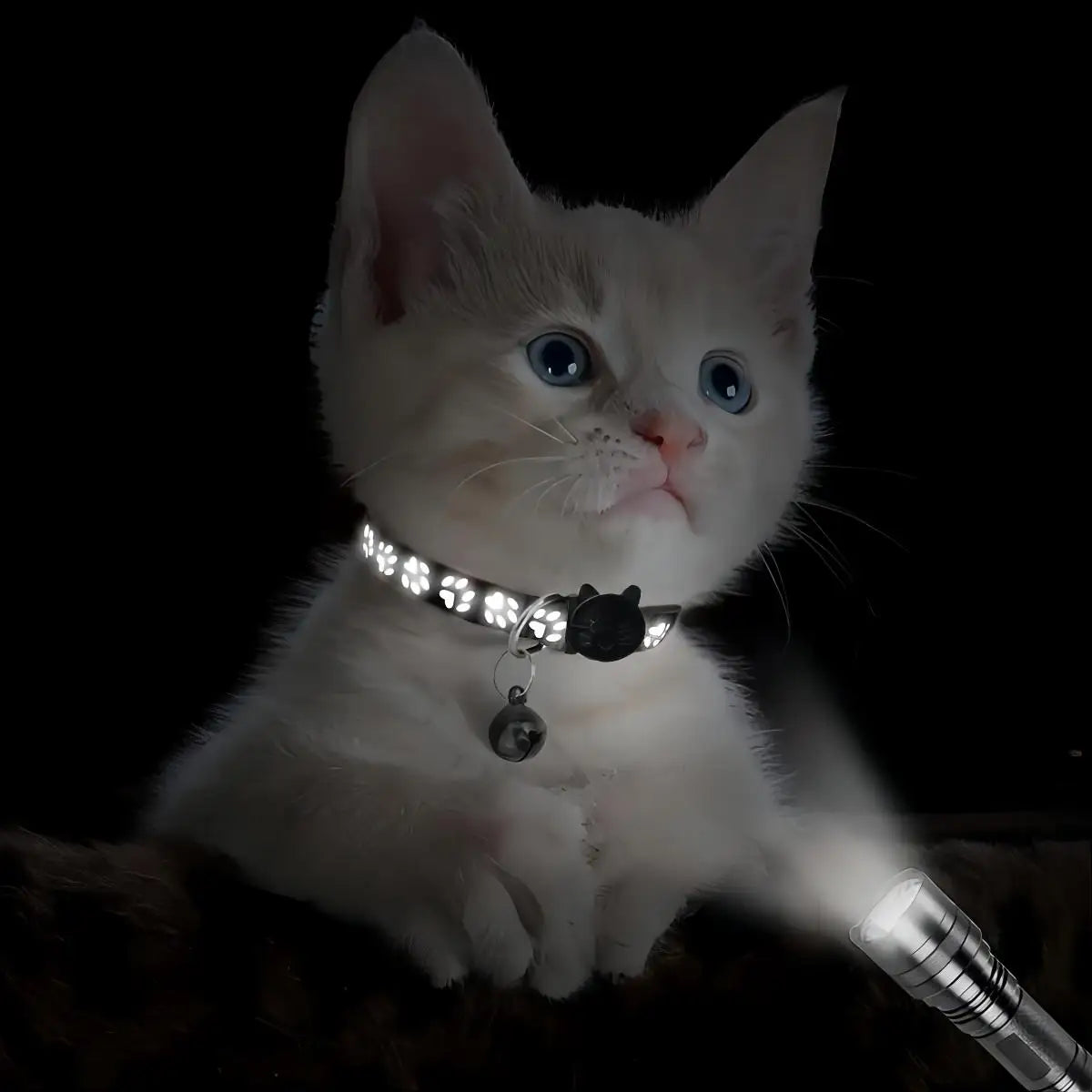 2pcs Reflective Cat Dog Collar Anti Lost Safety Adjustable Night Collar Set