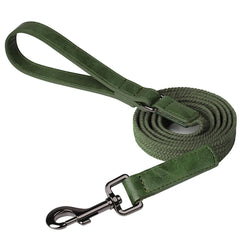 5ft Nylon Dog Leash Strong Leather Handle Durable Walking Pet Lead