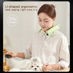 High Power Pet Hair Dryer Silent Quick Dry Grooming Blower 220V