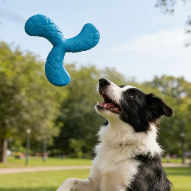 Dog Boomerang Flying Disc Tough Chew Water Fetch Toy Durable