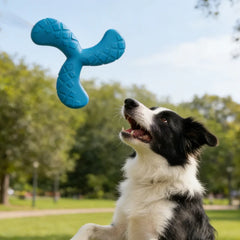Dog Boomerang Flying Disc Tough Chew Water Fetch Toy Durable