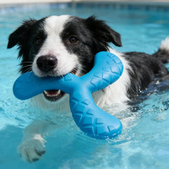 Dog Boomerang Flying Disc Tough Chew Water Fetch Toy Durable