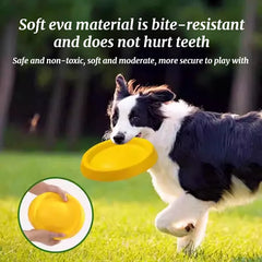 Dog Toy Set Frisbee Ball Tug Rope Interactive Chew Toys Bundle