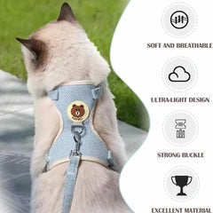 Cute Dog Harness Leash Set Soft Padded Small Pet Vest