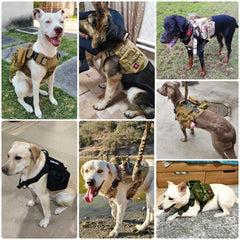 Tactical Dog Harness Leash Set Military No Pull Training Vest Handle