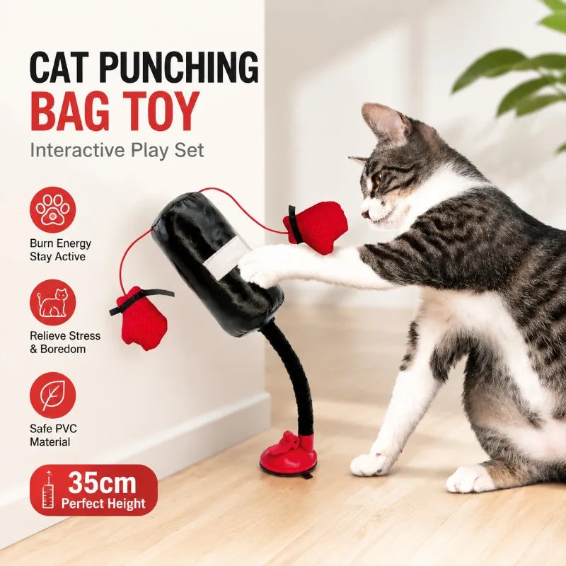 Interactive Cat Boxing Toy Durable Training Play Entertainment Exercise Accessory Fun