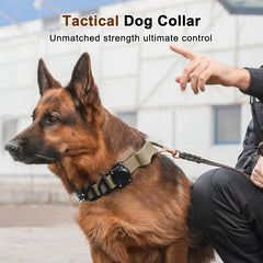 Waterproof Tactical Dog Collar Handle Zinc Buckle AirTag Compatible Medium Large
