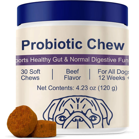 Probiotic Chews for Dogs Digestive Gut Health Beef Flavor Supplement Daily