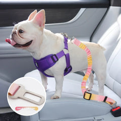 Retractable Dog Car Seat Belt Adjustable Elastic Safety Travel Leash Anti Chew
